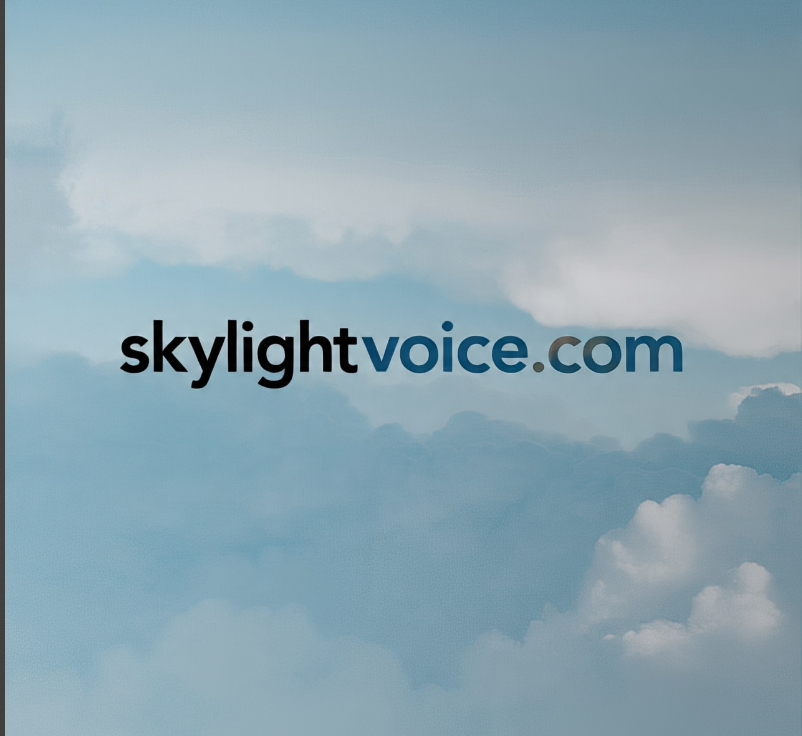 skylightvoice.com