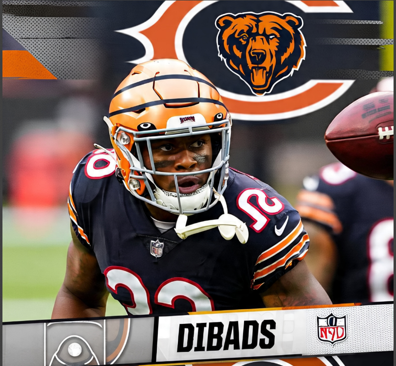 Davante Adams Takes a Swipe at the Bears
